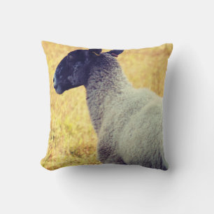 Schapen Kussen