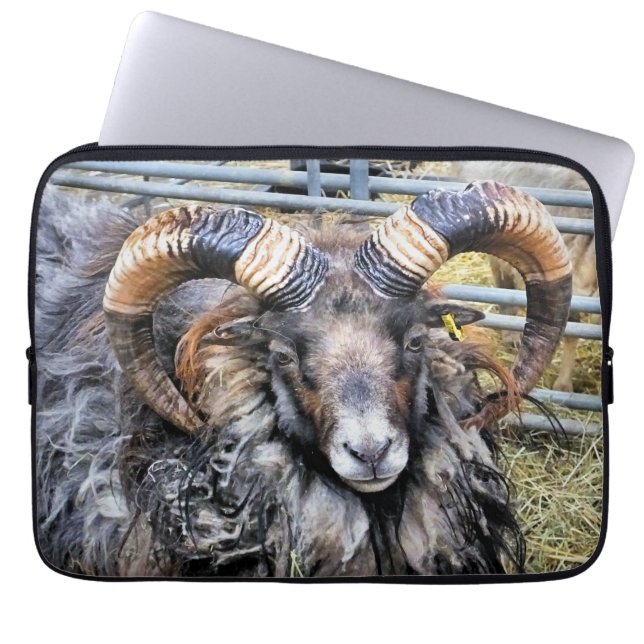 SCHAPEN LAPTOP SLEEVE (Voorkant)