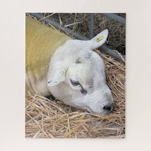 SCHAPEN LEGPUZZEL (Verticaal)