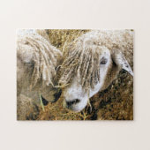 SCHAPEN LEGPUZZEL (Horizontaal)