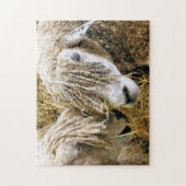 SCHAPEN LEGPUZZEL (Verticaal)