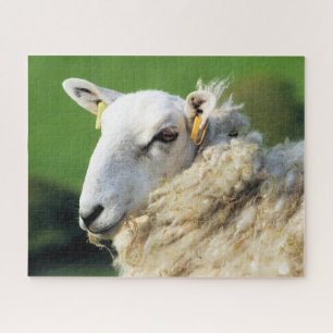 SCHAPEN LEGPUZZEL