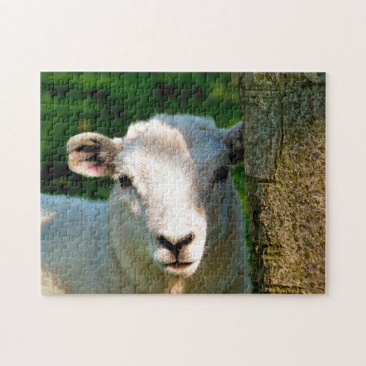 SCHAPEN LEGPUZZEL (Horizontaal)