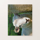 SCHAPEN LEGPUZZEL (Verticaal)