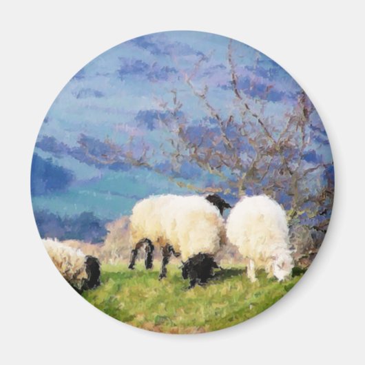 SCHAPEN MAGNEET (Voorkant)
