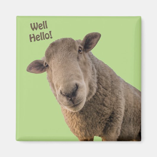Schapen Magneet (Voorkant)