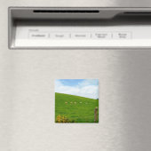 SCHAPEN! MAGNEET (Insitu (Vaatwasser))