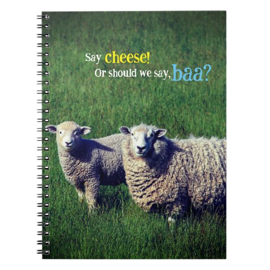 Schapen met lam in grasweide notitieboek (Voorkant)