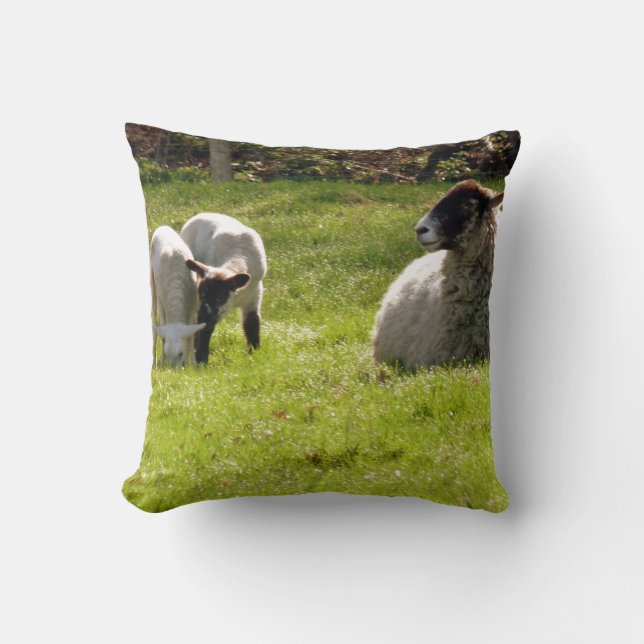 Schapen met lammeren kussen (Voorkant)