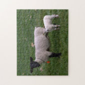 Schapen met lammeren legpuzzel (Verticaal)