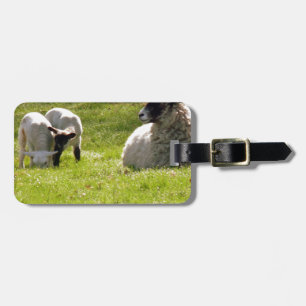 Schapen met lentlammeren bagagelabel