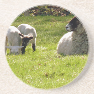 Schapen met lentlammeren zandsteen onderzetter