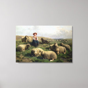 Schapen met schapen in een landschap canvas afdruk