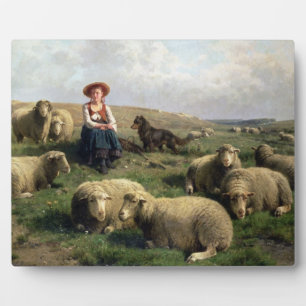 Schapen met schapen in een landschap fotoplaat