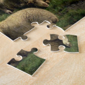 Schapen met schapen in een landschap legpuzzel (Zijkant)