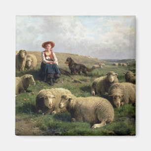 Schapen met schapen in een landschap magneet