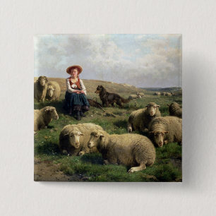 Schapen met schapen in een landschap vierkante button 5,1 cm
