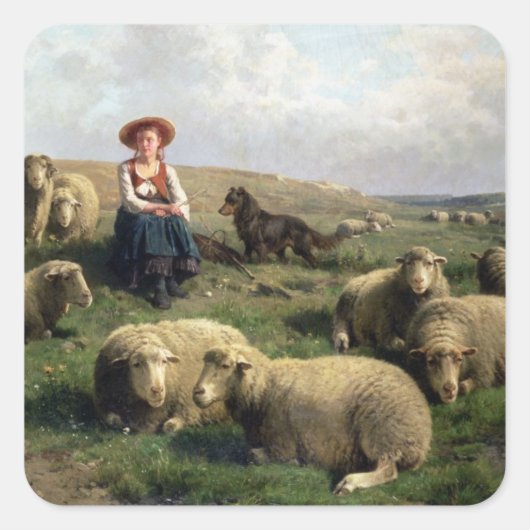 Schapen met schapen in een landschap vierkante sticker (Voorkant)