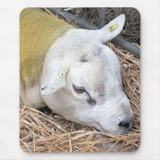 SCHAPEN MUISMAT (Voorkant)