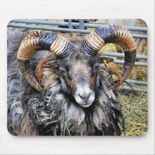 SCHAPEN MUISMAT