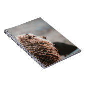 SCHAPEN NOTITIEBOEK (Rechterzijde)