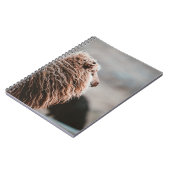 SCHAPEN NOTITIEBOEK (Linkerzijde)