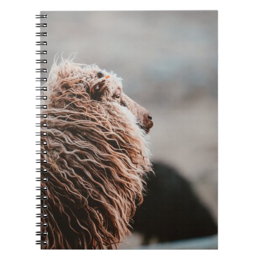 SCHAPEN NOTITIEBOEK (Voorkant)