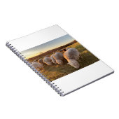 Schapen Notitieboek (Rechterzijde)