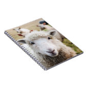 Schapen Notitieboek (Rechterzijde)