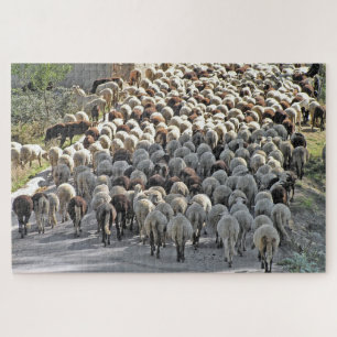 Schapen onder een dierlijk nette puzzel legpuzzel