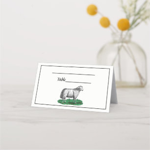 schapen Ooien landbouwhuisdieren Tekening C