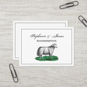 schapen Ooien landbouwhuisdieren Tekening C Visitekaartje