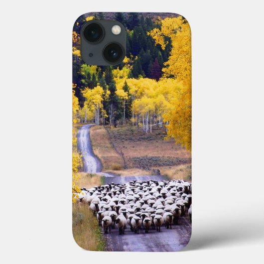 Schapen op Country Road Case-Mate iPhone Case (Achterkant)