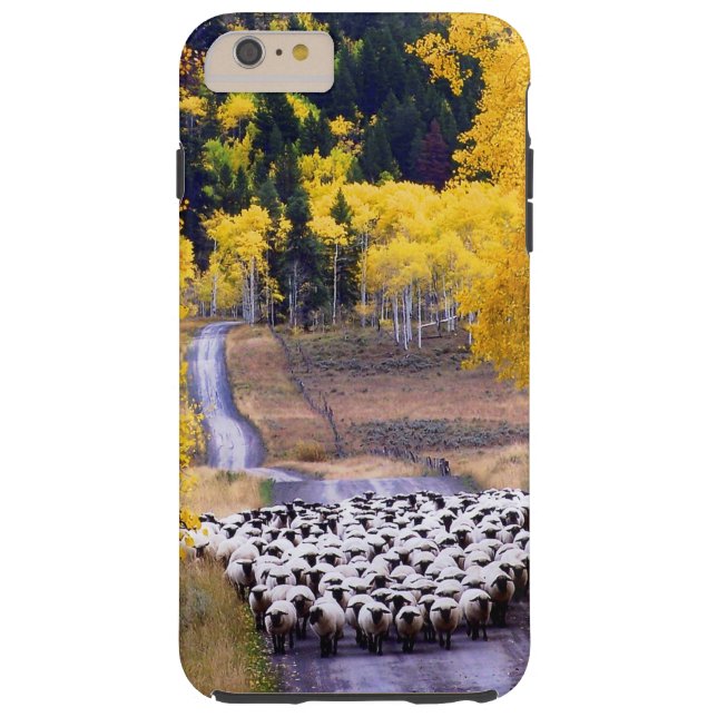 Schapen op Country Road Case-Mate iPhone Case (Achterkant)