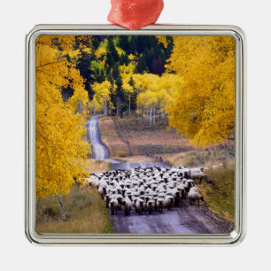 Schapen op Country Road Metalen Ornament