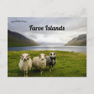 Schapen op de Faeröer Briefkaart