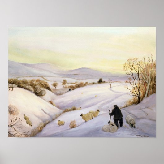 Schapen op de rug poster (Voorkant)