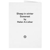 Schapen op winterkaart (Achterkant)