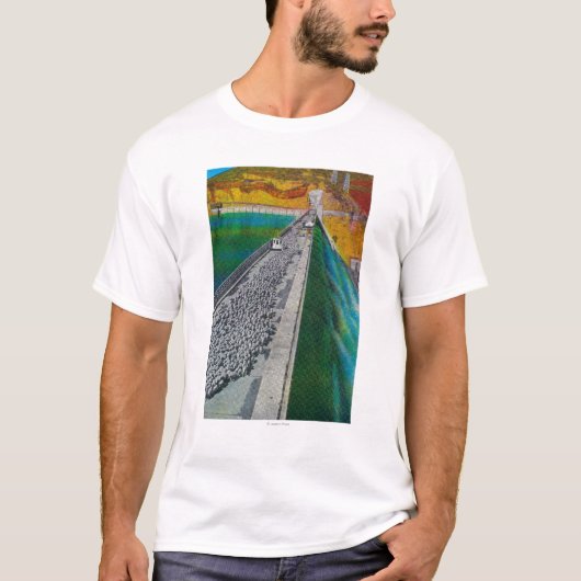 Schapen over Grand Coulee Dam T-shirt (Voorkant)