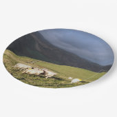 SCHAPEN PAPIEREN BORDJE (Gekanteld)