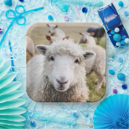 Schapen Papieren Bordje (Feest)