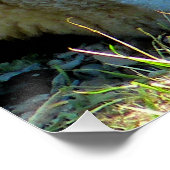 SCHAPEN PERFECT POSTER (Hoek)