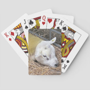 SCHAPEN POKERKAARTEN