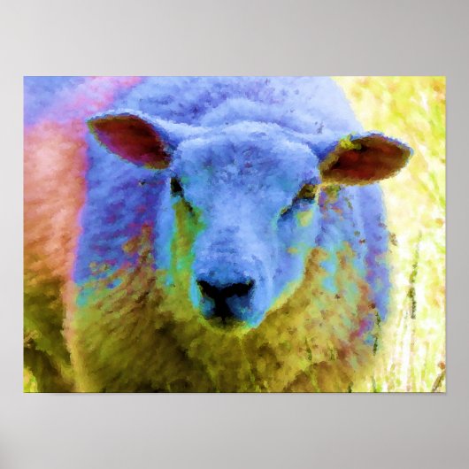 SCHAPEN POSTER (Voorkant)