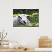 SCHAPEN POSTER (Keuken)