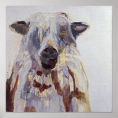 Schapen Poster (Voorkant)