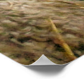 SCHAPEN POSTER (Hoek)