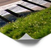 SCHAPEN POSTER (Hoek)