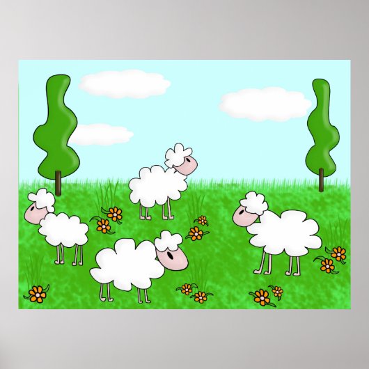 Schapen Poster (Voorkant)
