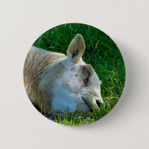 SCHAPEN RONDE BUTTON 5,7 CM